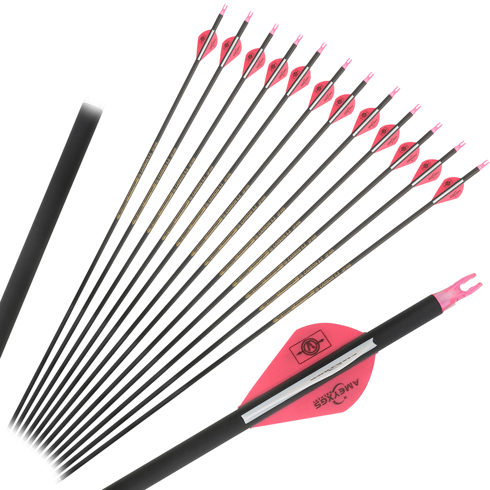 アーチェリー純カーボン矢 スパイン400/500/600/I - Carbon Arrows 30 Inch Spine 400 500 のレビューと価格