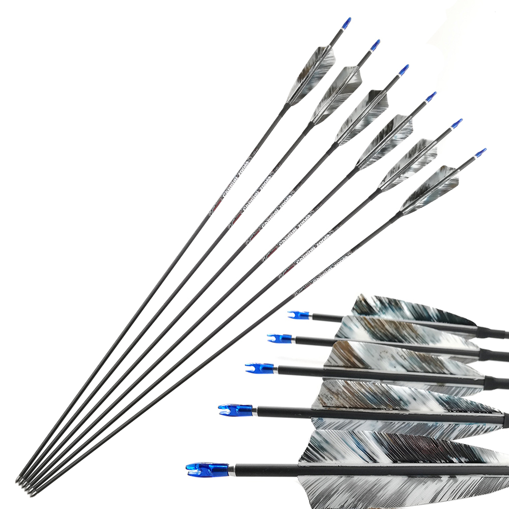 ピナルズ アーチェリー ピュアカーボン製 矢、スパイン値：4 - Carbon Arrows 30 Inch Spine 400 500 のレビューと価格