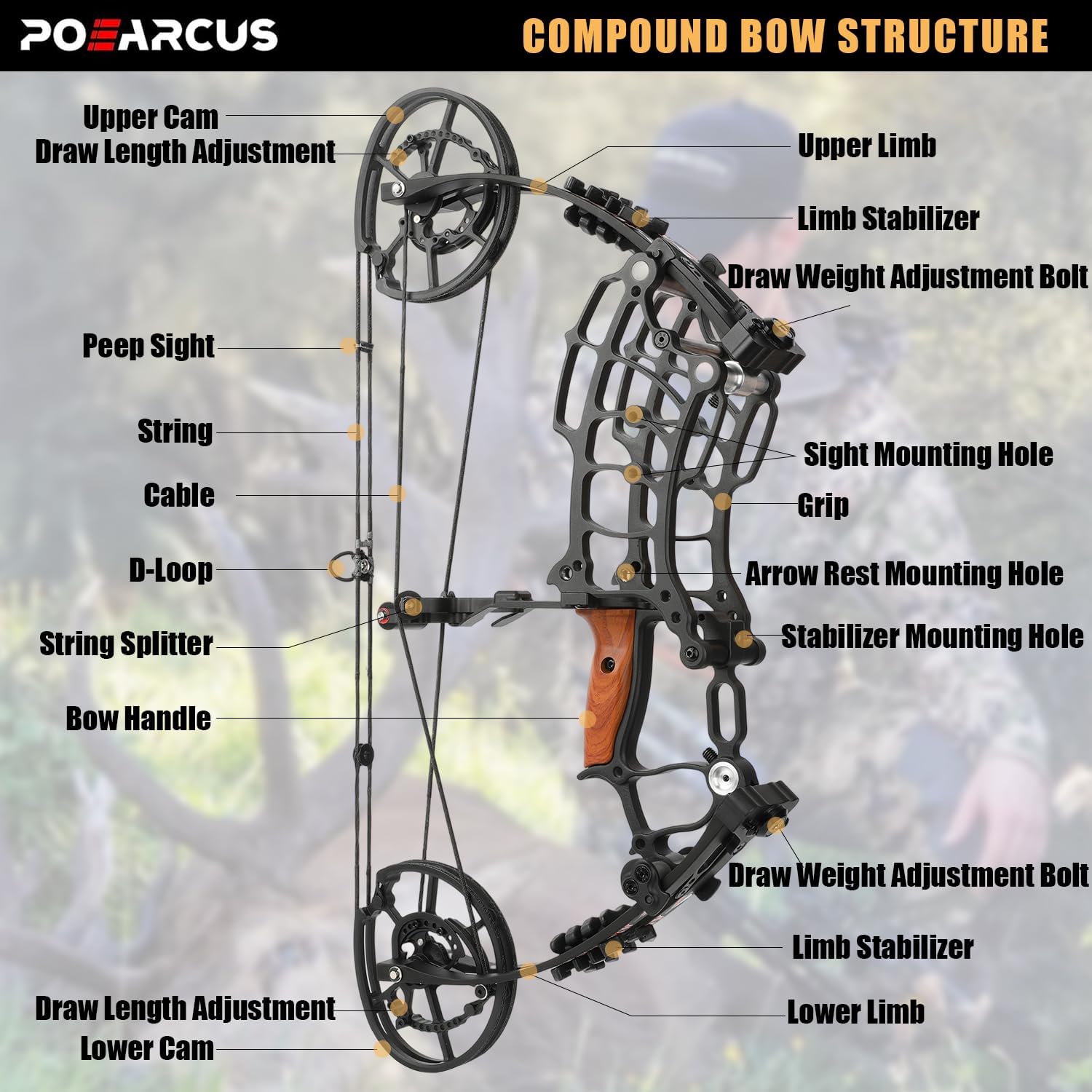 多目的コンパウンドボウセット、引張力30～70ポンド、弦長2 - Compound Bow Hunting 30-70 Lbs のレビューと価格