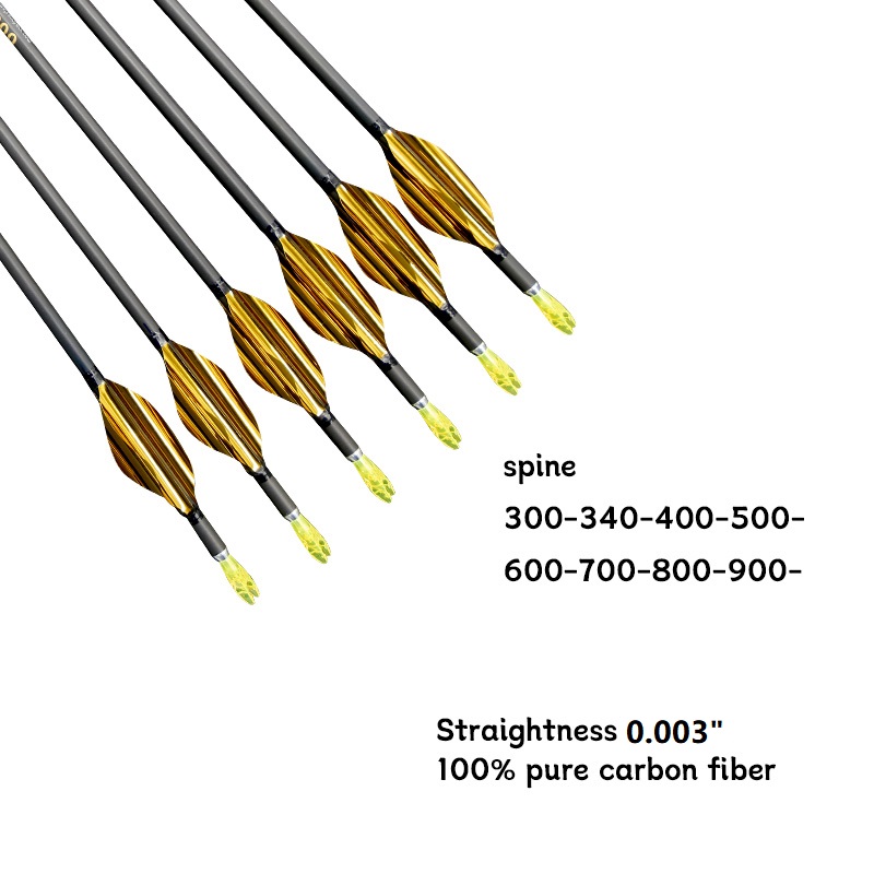 ID4.2mm 純カーボン矢 1.8インチ スピンベイン 長 - Carbon Arrows 30 Inch Spine 400 500 のレビューと価格
